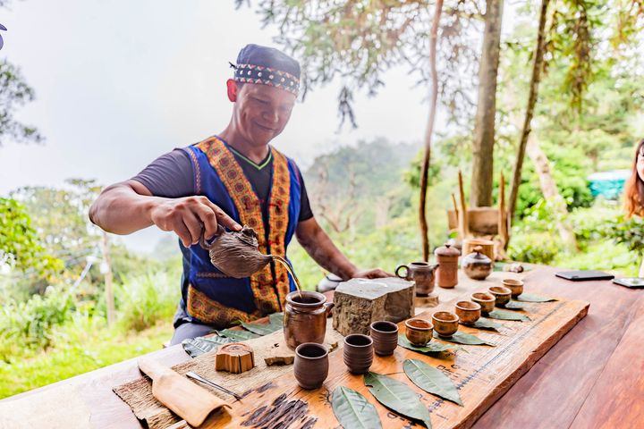 寶山拿普原生茶有機茶園，由謝國華茶師帶領民眾體驗原生山茶。　圖：交通部觀光署茂林國家風景區管理處／提供