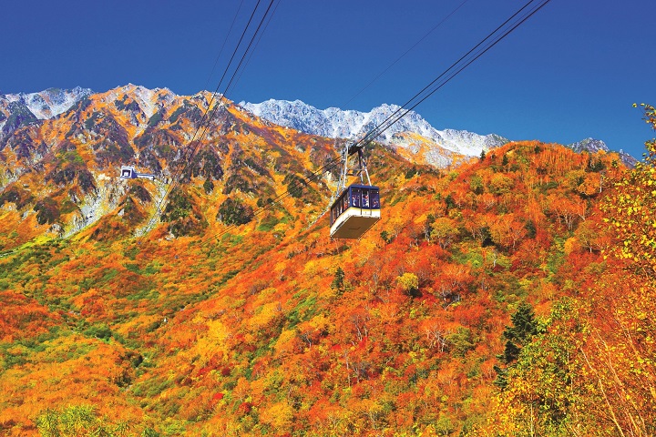 ▲立山黑部紅葉正美。　圖：向日遊/提供