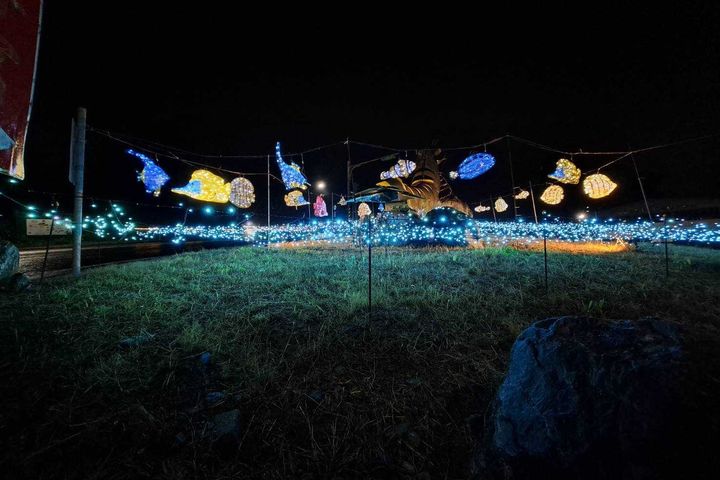 ▲實體藤花、魔幻蝶鏡及動物光雕等多元化燈飾，打造豐富生命力場景。　圖：礁溪鄉公所／提供