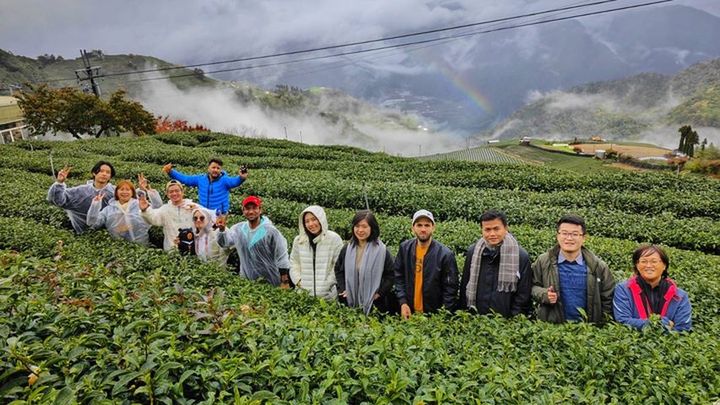 ▲梨山空氣好，景色美，尤其年底的山谷燈光節也已經開燈，很適合國際遊客一遊。　圖：參山國家風景區管理處／提供