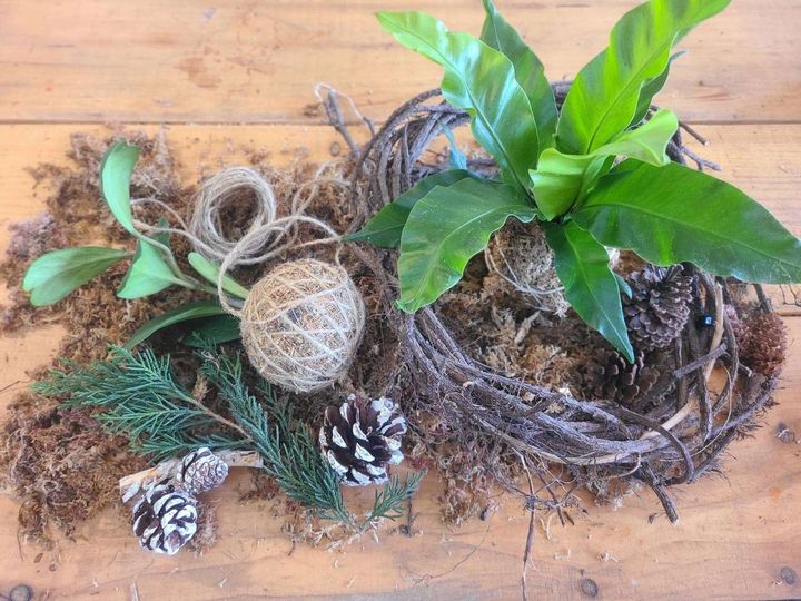 ▲「聖誕．植森活」DIY苔球課程。　農業部林業及自然保育署－新竹分署／提供