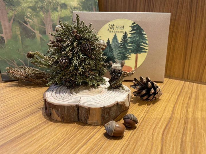 ▲手作一棵療癒耶誕樹增添聖誕氛圍。　農業部林業及自然保育署－滿月圓遊客中心／提供