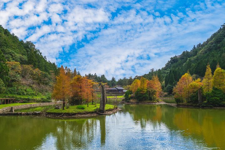 ▲明池森林遊樂區。　圖：東南旅行社／提供