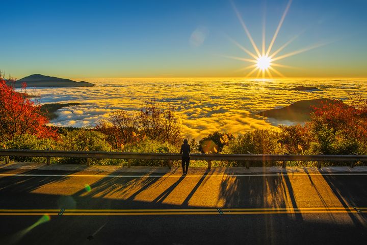 ▲入境旅遊類今年將主題與國家類別做更細緻規劃和提升，有效創造更滿意的評選結果。　圖：shutterstock／來源