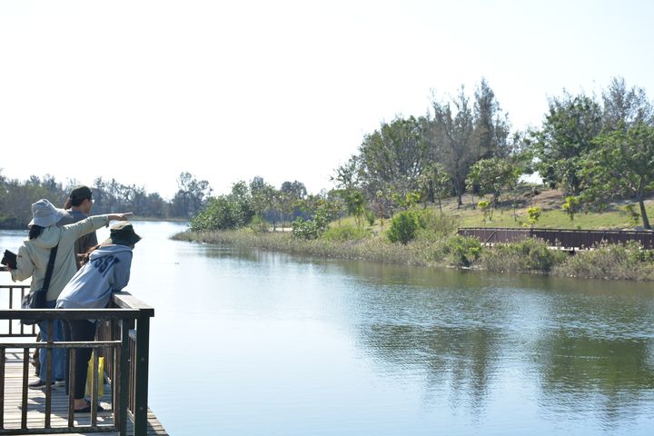 ▲口湖遊客中心旁的椬梧滯洪池十分適合散策、欣賞美景。　記者：王政／攝