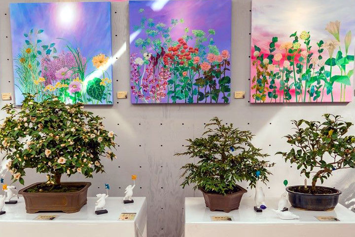 2024「花IN台北」首波花展由「台北茶花展」展開序幕。　圖：臺北市政府工務局公園路燈工程管理處／提供