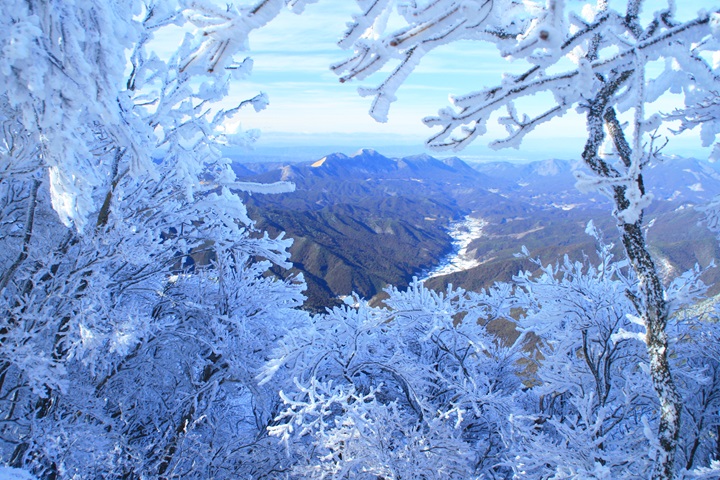 越冷越美！奈良近郊御杖村超冷霧冰絕景美呆了