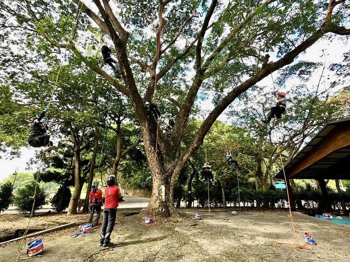 ▲園區內的樹木種類繁多，適合進行攀樹體驗。 圖：台南市政府觀光旅遊局／來源