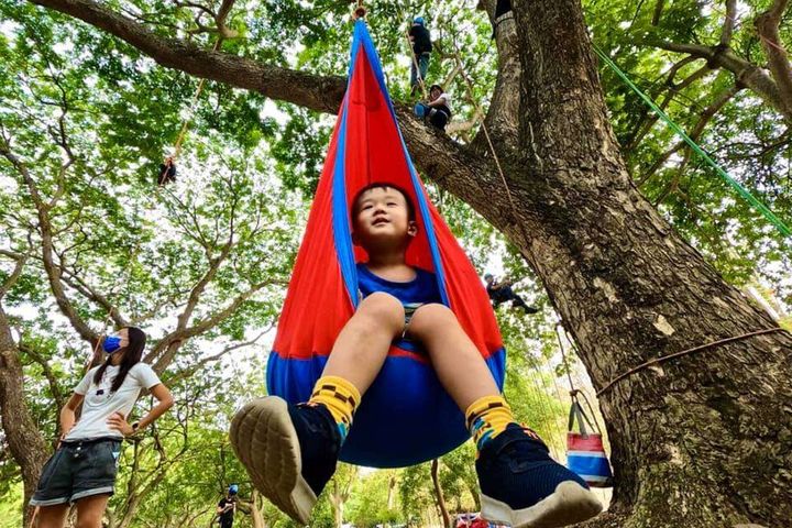 攀樹對人的情緒穩定非常有幫助。　圖：台南市政府觀光旅遊局／來源