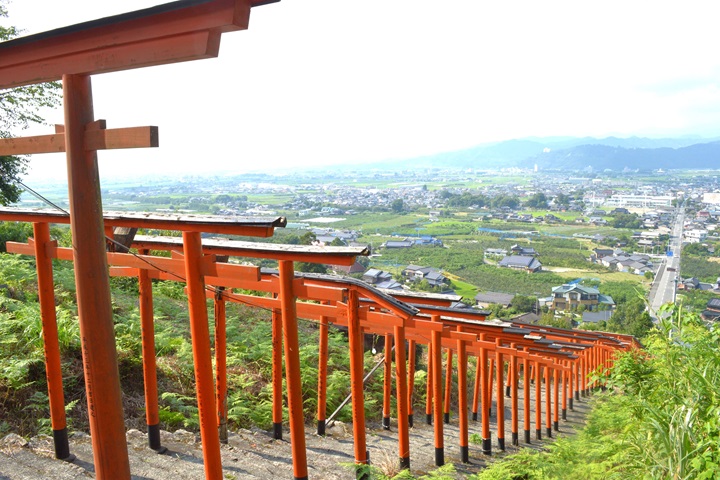 迎接新年！福岡縣浮羽稲荷神社推出三日限定款御朱印