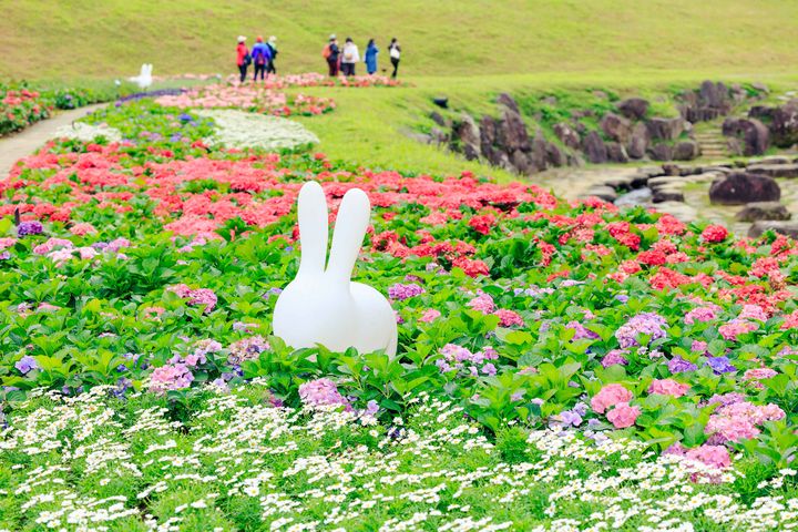 花叢間還有兔子造型的藝術裝置，讓花海更加生動活潑。　圖：台北市政府工務局水利工程處／提供 