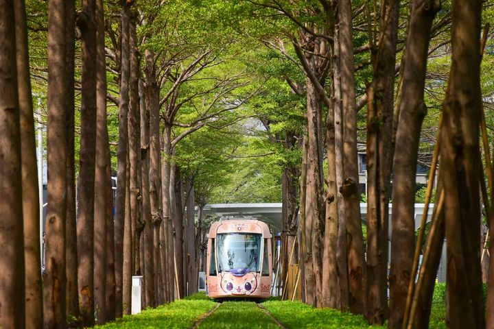 輕軌C21美術館站的龍貓隧道照片。　圖：高雄捷運公司／提供