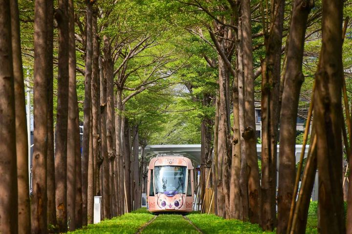 輕軌C21美術館站的龍貓隧道照片。　圖：高雄捷運公司／提供