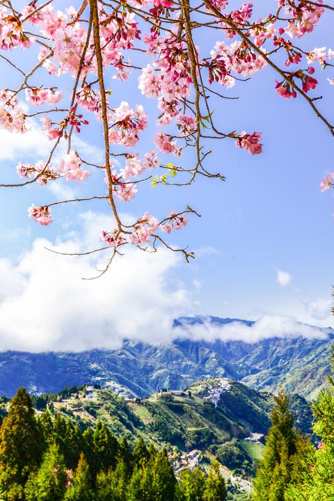 ▲落實永續旅遊精神，深度挖掘台灣山林的多種魅力。　圖：shutterstock／來源