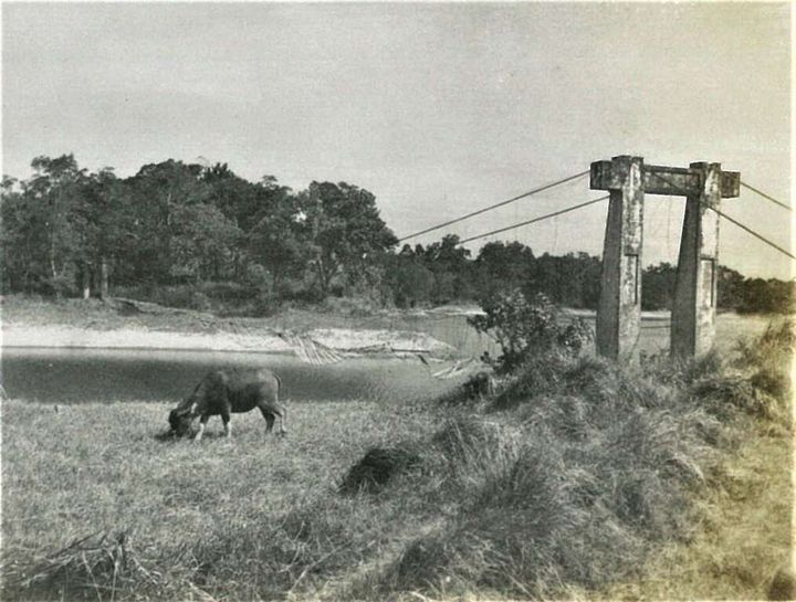 ▲1938年建造的第一代吊橋為鐵線橋，樣式極為簡陋。　圖：台南市政府觀光旅遊局／提供