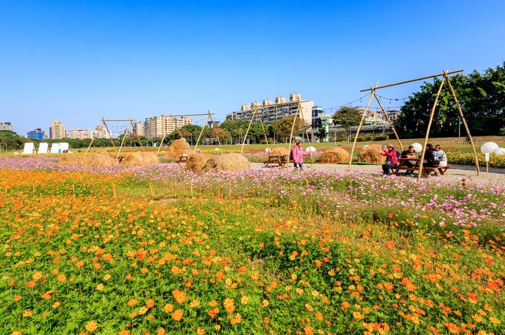 ▲古亭河濱公園適合好友、家人一起相約賞花。　圖：台北市政府工務局水利工程處官方臉書（攝影：曹正邦）／提供