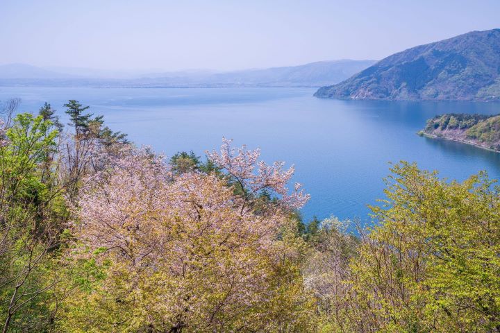 ▲滋賀縣「奧琵琶湖公園路」。　圖：琵琶湖・近江路觀光圈活性化協議會／提供