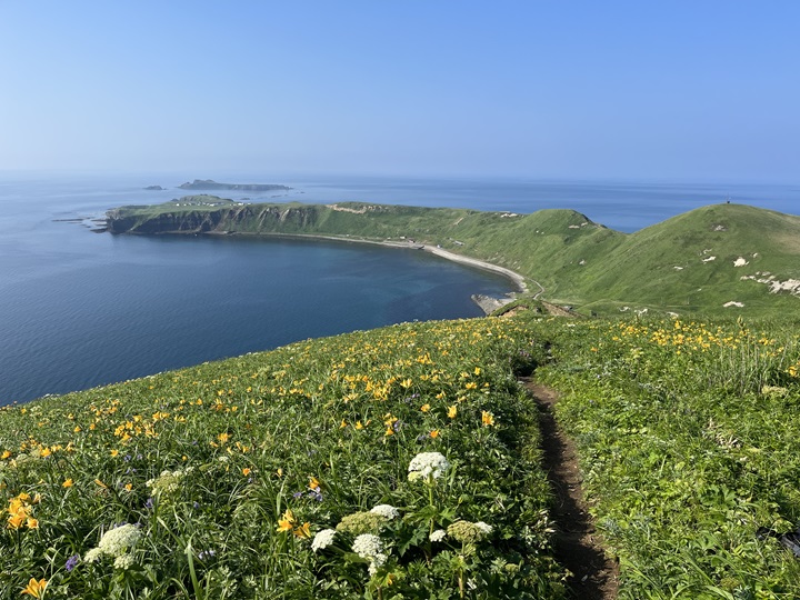 ▲禮文島夏日健行可欣賞繽紛多彩的植物。　圖：禮文島／提供