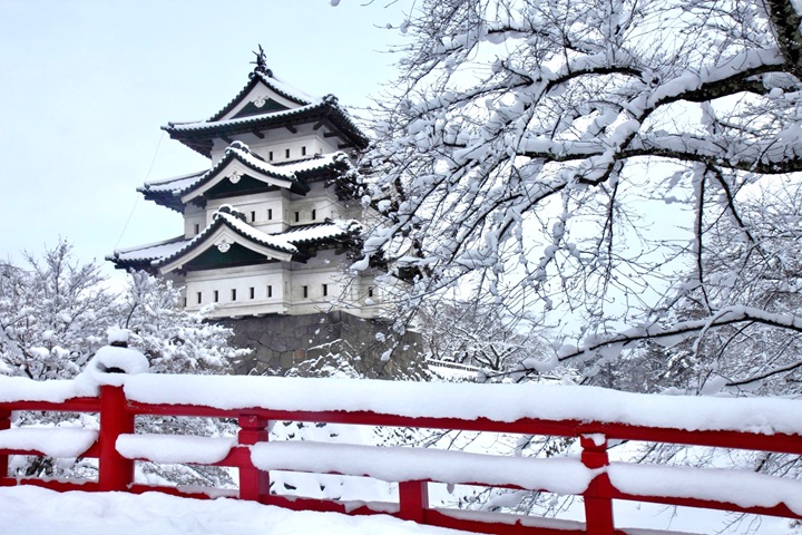 冬雪追祭典！青森弘前城雪燈籠祭魅力十足