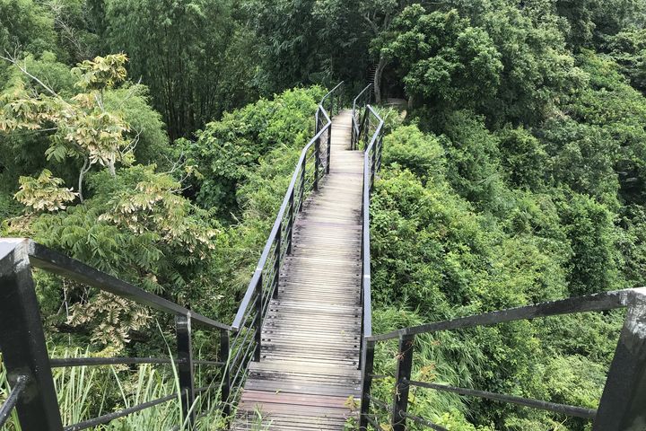 ▲自然步道：龍過脈步道棧道。　圖：農業部林業及自然保育署／提供
