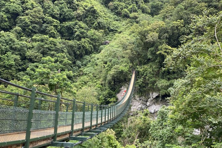 ▲富源國家森林遊樂區：龍吟吊橋。　圖：農業部林業及自然保育署／提供