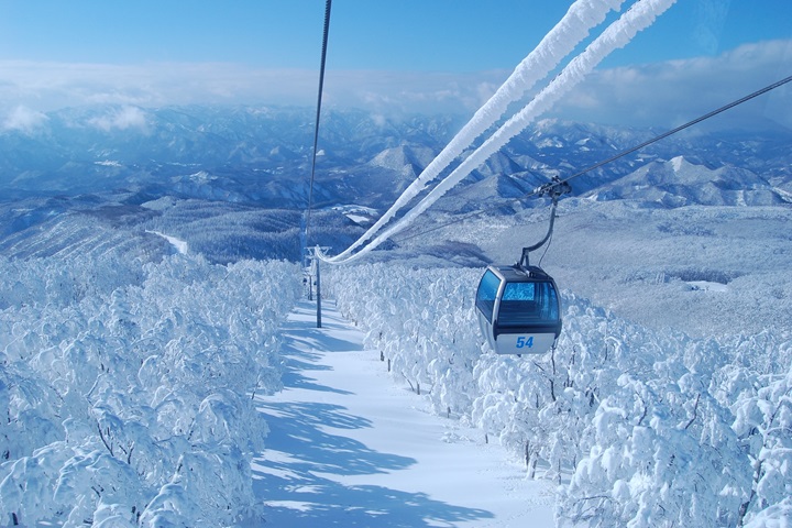 名列日本3大樹冰！秋田森吉山追雪必賞急凍美景