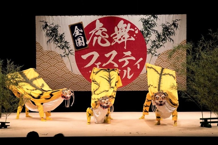 日本全國虎舞嘉年華每年固定在岩手縣釜石市登場，今年已邁入第13屆。　圖：岩手縣／提供
