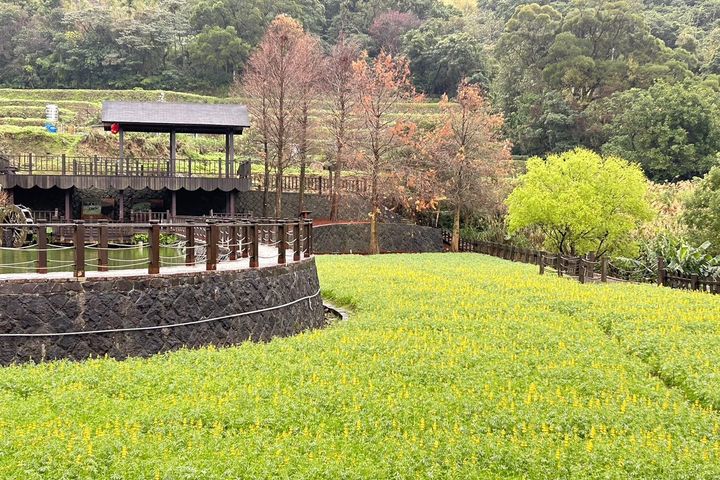 ▲樟樹步道－明鏡池。　圖：臺北市政府工務局大地工程處／提供