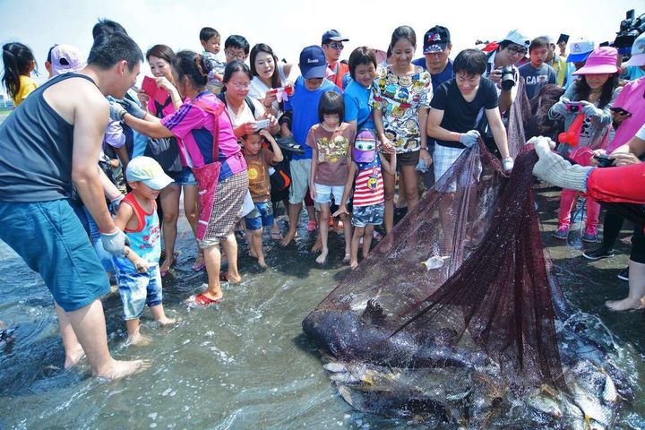 ▲永安名產龍膽石斑魚。　圖：高雄市政府觀光局／提供