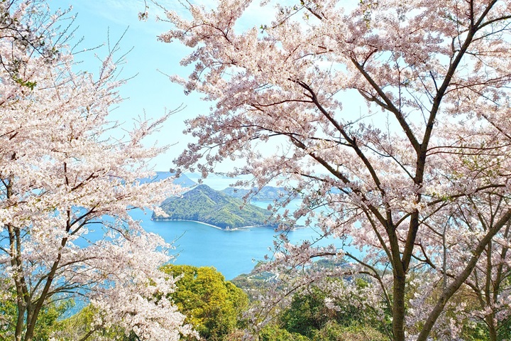 ▲香川縣的紫雲出山。　圖：香川縣／提供