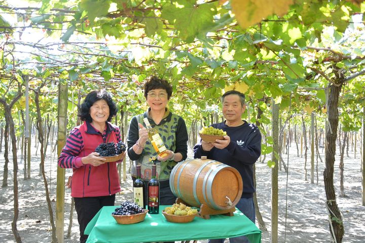 ▲（左起）鵬群頂酒莊老闆娘羅玉盆、台灣旅遊交流協會執行委員會召集人賴瑟珍、鵬群頂酒莊老闆譚華光【※ 提醒您：禁止酒駕；飲酒過量有害健康】。　記者-王政／攝