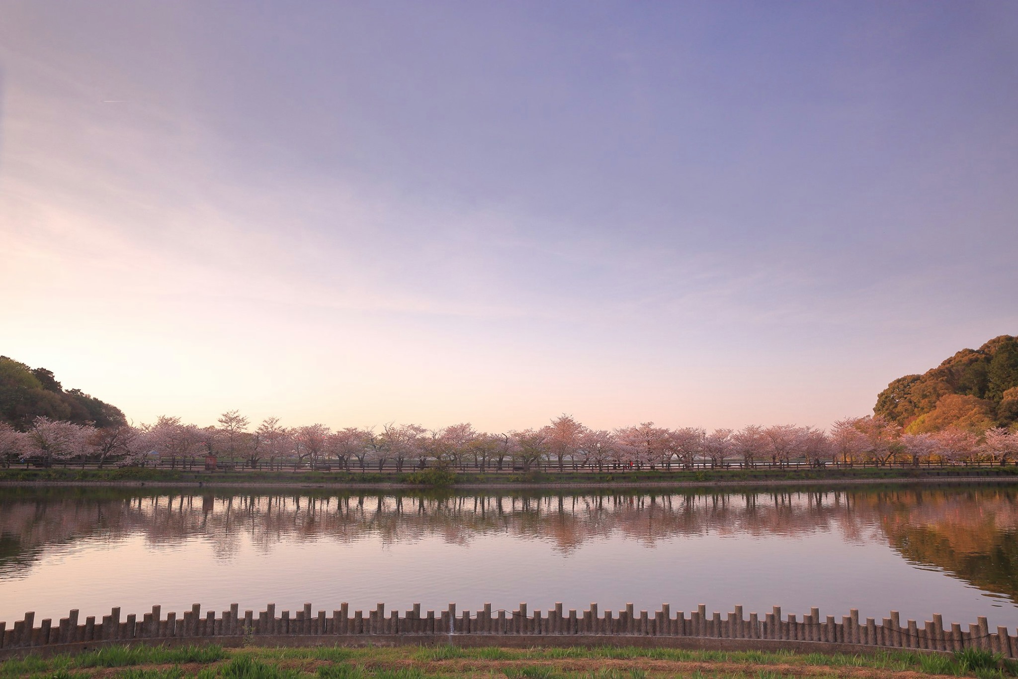 ▲香川縣的龜鶴公園。　圖：香川縣／提供