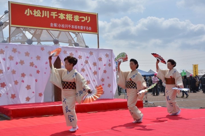 ▲「小松川千本櫻祭」活動，邀請當地團體表演，期以讓更多人知道這處賞花好去處。　圖：江戶川區／提供