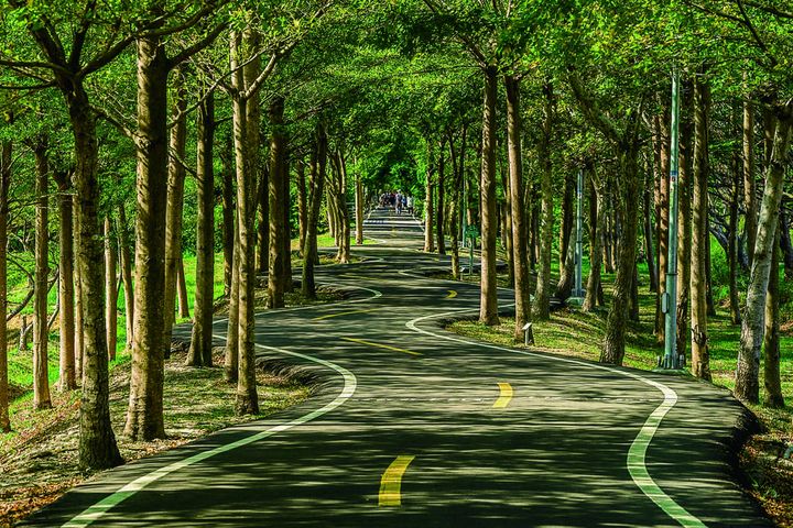▲潭雅綠園道－自行車專用道。　圖：台中市政府觀光旅遊局／提供