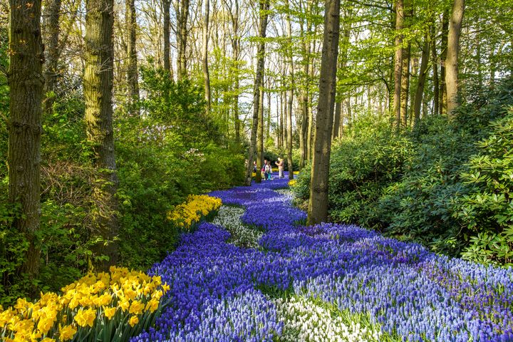 ▲庫肯霍夫園區內各處都有不同氛圍，值得細細慢遊。　圖：Keukenhof／來源