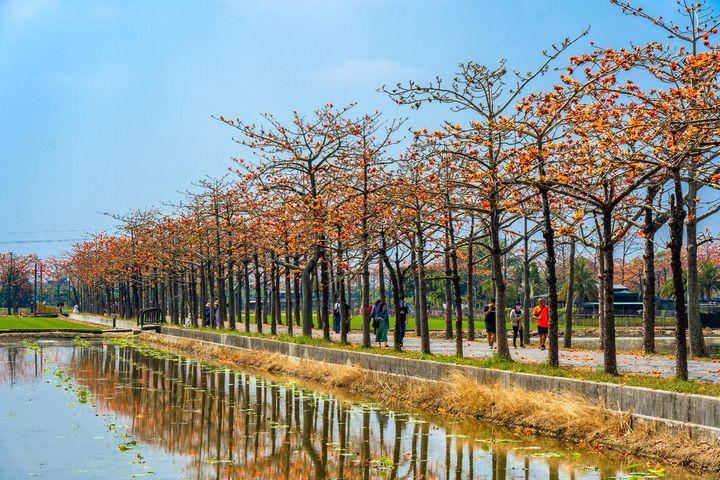 ▲木棉花道與水中倒影。　圖：西拉雅國家風景區管理處／提供