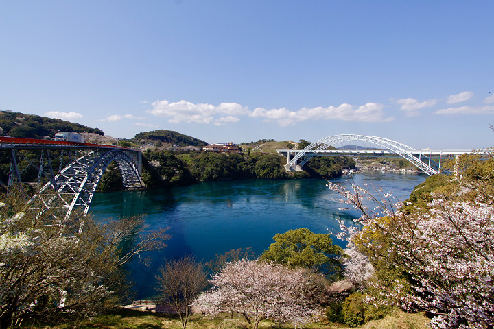 2024西海橋春日漩渦節舉行日期為3/16~4/7。　圖：長崎縣觀光連盟／提供