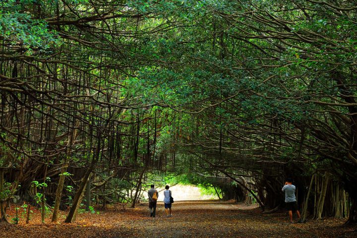 跟著《轉轉玩台南 低碳旅遊交通攻略》旅行 體驗溪北在地風情