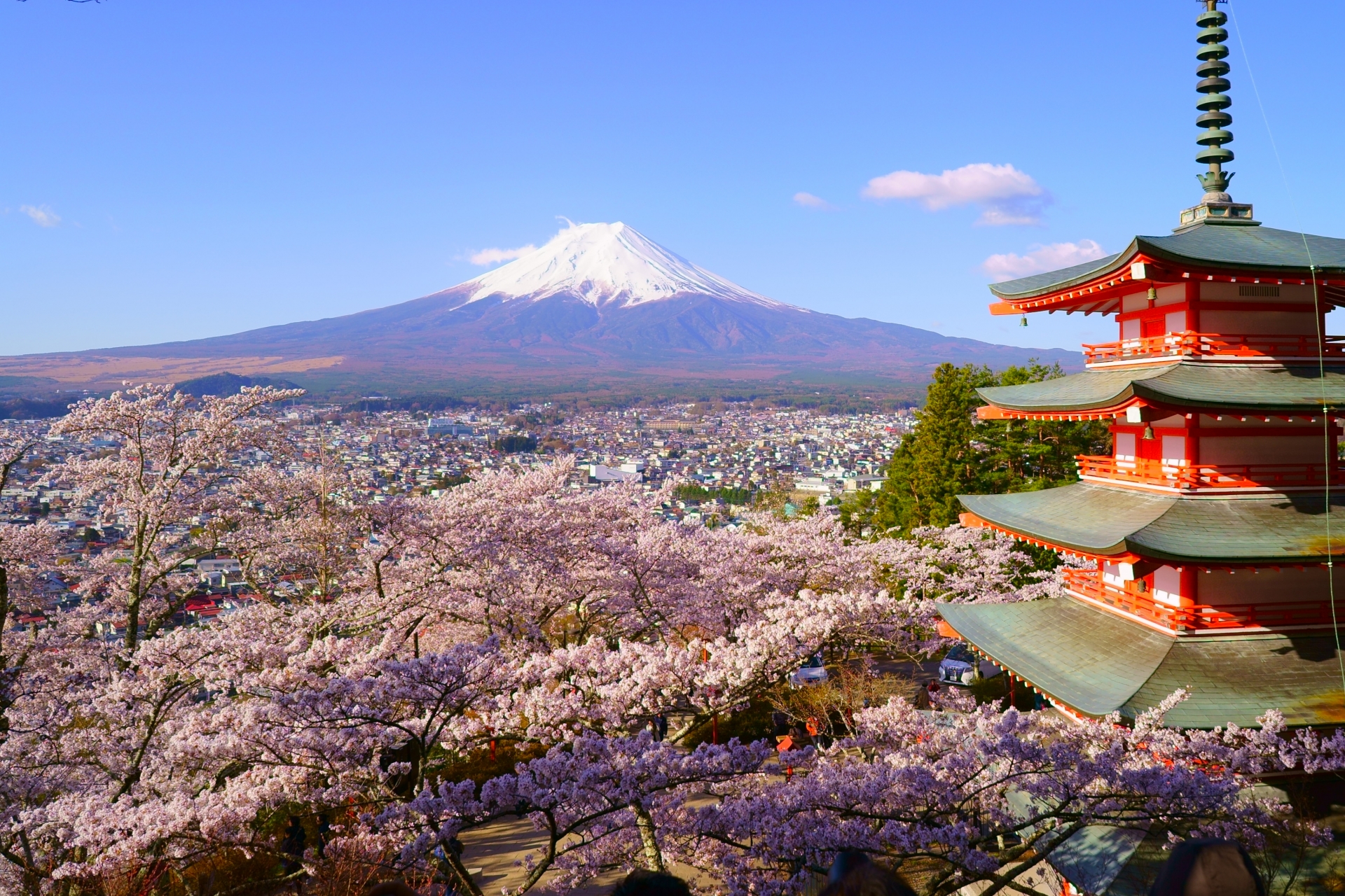 ▲新倉山淺間公園的五重塔、櫻花與富士山是日本代表性的風景。　圖：向日遊顧問有限公司／提供