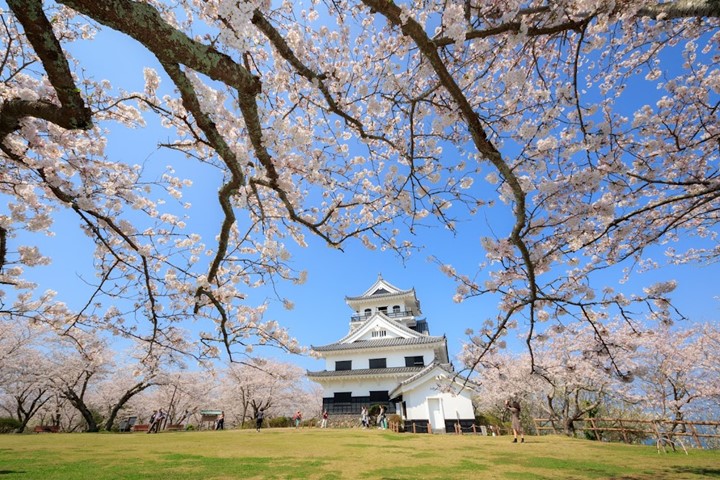 ▲館山城遺跡已規劃為城山公園，天守閣也變為博物館。　圖：向日遊顧問有限公司