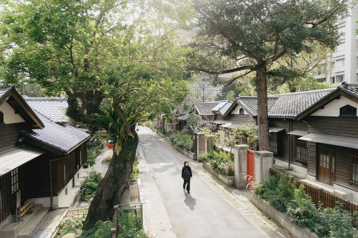 「0km 山物所」感念右方這棵百年的台灣油杉，本區得以被保留，以嶄新樣貌向大眾呈現當代風華。　圖：0km山物所／提供 