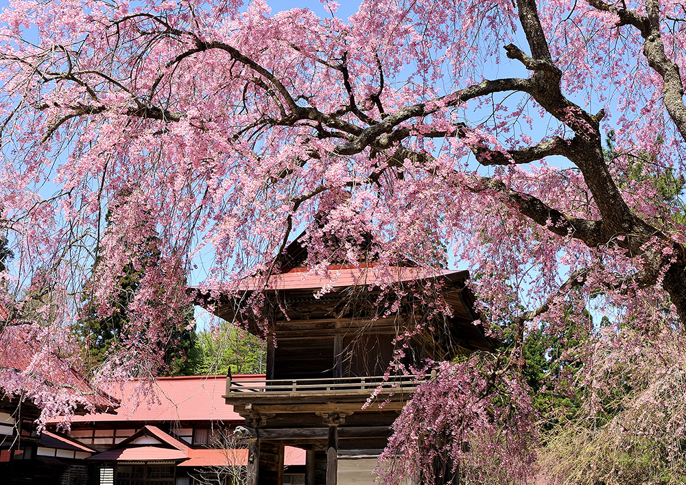 ▲多寶院。　圖：秋田白神觀光／提供