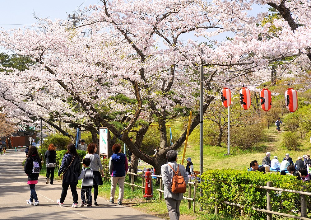 能代公園。　圖：秋田白神觀光／提供