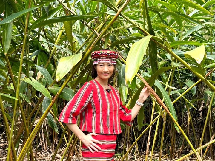 ▲漫步月桃田間享受香氣、認識原生植物。　圖：新竹縣政府交通旅遊處／提供