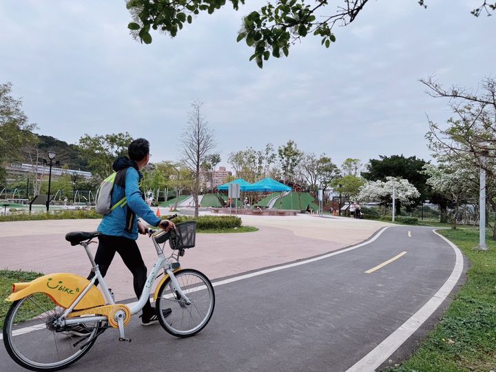 ▲陽光運動公園自行車道旁綠地亦能欣賞到流蘇的芳蹤。　圖：新北市政府水利局／提供
