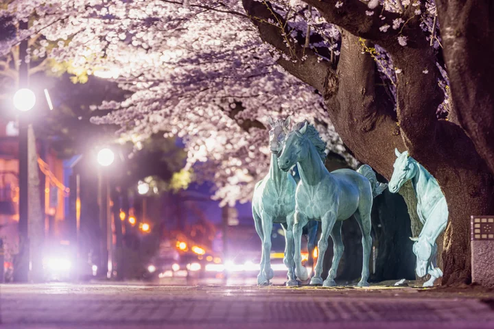 十和田市官廳街通‧駒街道，生動的馬雕塑在賞櫻期間搭配燈光格外浪漫。　圖：十和田奧入瀨觀光機構 小山田邦哉／撮影