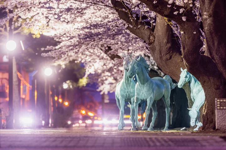 藝術街道賞櫻！青森縣十和田市春之祭4/6起熱鬧登場！