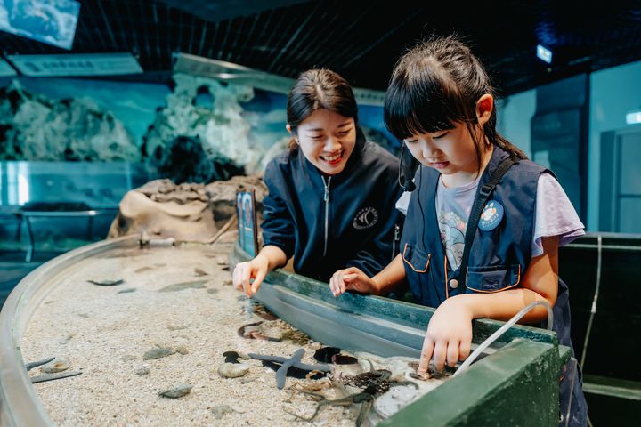 ▲迷你解說員親子營活動帶領孩子們認識潮間帶生物構造。　圖：國立海洋生物博物館／提供