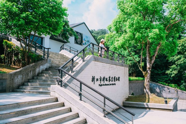 ▲坪林具有茶鄉之稱，除了逛遊坪林老街外，透過新北市坪林茶業博物館展覽更能認識茶文化。　圖：新北市觀光旅遊局／提供
