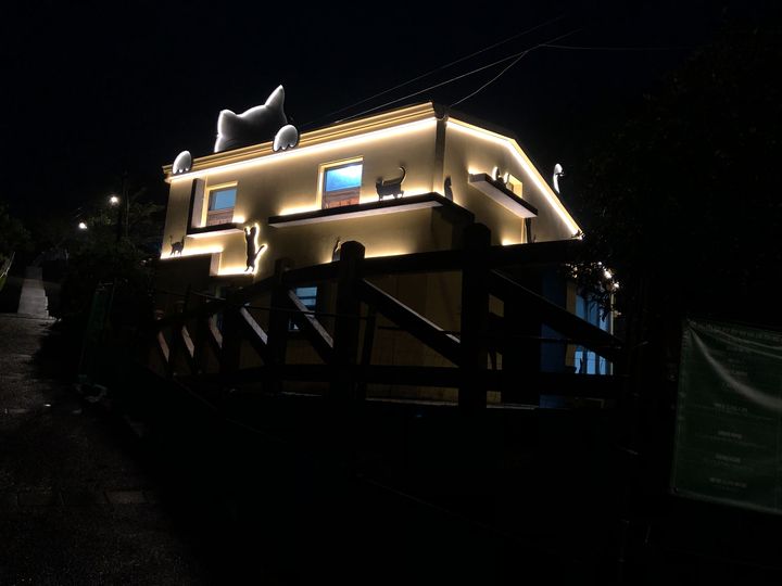 ▲重新裝修後的貓公所籌備處，夜晚也迷人。　圖：新北市政府動物保護防疫處／提供